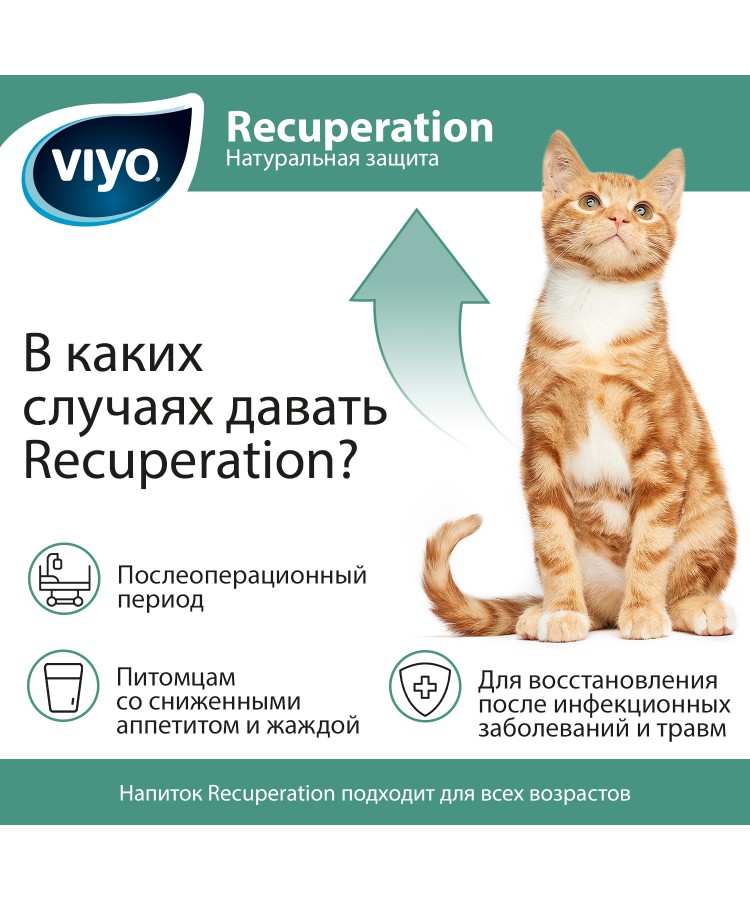 Напиток для кошек Viyo Recuperation 150 мл