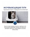 GIMCAT EXPERT LINE Паста для кошек Уринари 50 г 