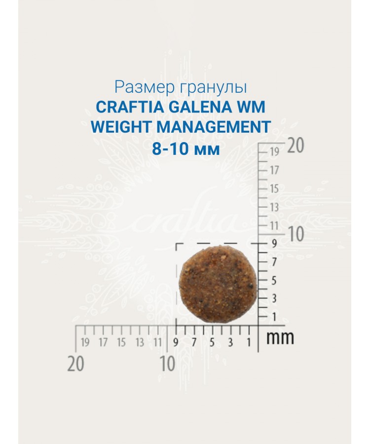 Ветеринарная диета CRAFTIA GALENA CAT WEIGHT MANAGEMENT (Obesity) CARE Вейт менеджмент (Обесити) для кошек при избыточном весе 4,5 кг