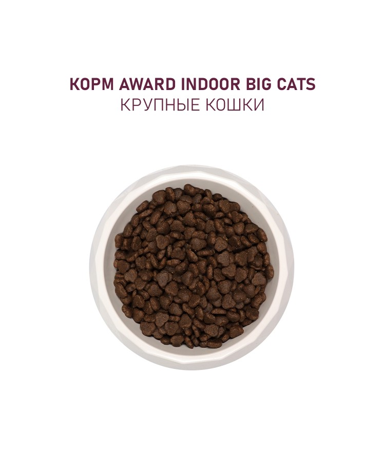 Сухой корм AWARD Indoor Big cats для взрослых домашних кошек крупных пород с говядиной и курицей с добавлением брокколи и юкки Шидигера 10кг