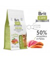 Brit Care Superpremium Cat Indoor с индейкой и лососем для взрослых кошек, Уменьшение запаха 400 гр.