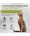 Brit Care Superpremium Cat Indoor с индейкой и лососем для взрослых кошек, Уменьшение запаха 400 гр.