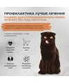 Brit Care Superpremium Cat Sterilised с морской рыбой и индейкой для стерилизованных кошек, Контроль веса 400 гр.