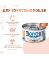 Влажный корм Monge Cat Monoprotein для кошек, мясные хлопья из индейки с морковью, консервы 80 г