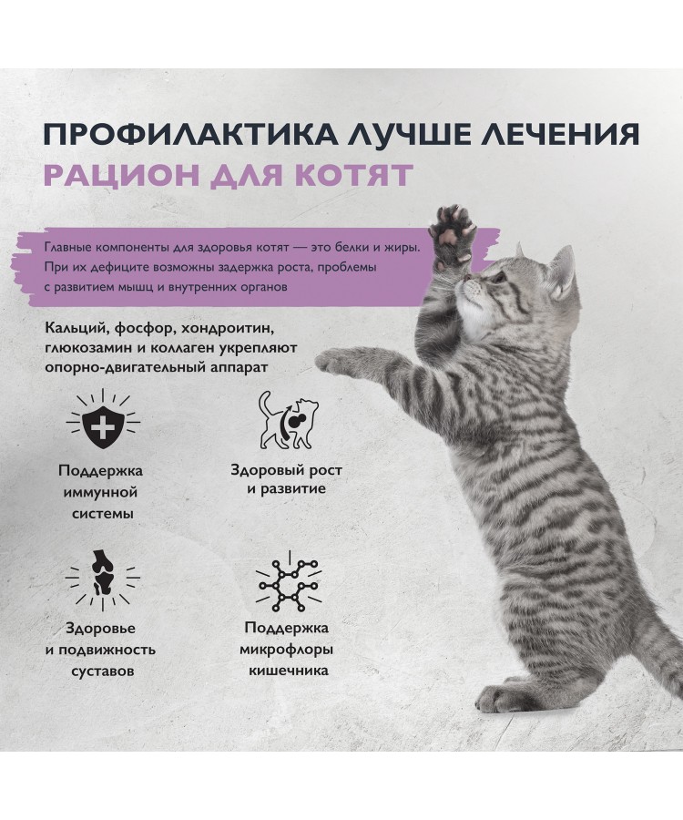 Brit Care Superpremium Cat Kitten с индейкой для котят, беременных и кормящих кошек, Здоровый рост 1,5 кг