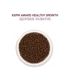 Сухой корм AWARD Healthy growth для котят от 1 месяца, беременных и кормящих кошек с индейкой и курицей с добавлением рыбьего жира и семян льна 10кг