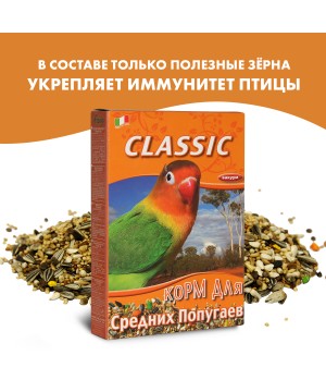 Корм Fiory Classic для средних попугаев 650 г