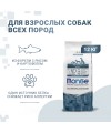 Сухой корм Monge Dog Speciality Line Monoprotein для взрослых собак всех пород, из форели с рисом и картофелем 12 кг