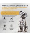 Brit Care Superpremium Dog Puppy&Junior M с индейкой и уткой для щенков средних пород, Здоровый рост и развитие 3 кг