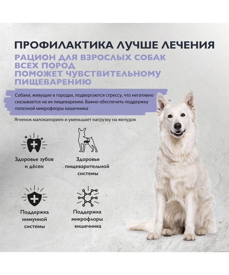 Brit Care Superpremium Dog Adult Sensitive с индейкой, ягненком и рисом для взрослых собак всех пород, Чувствительное пищеварение. 1,5 кг