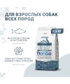 Сухой корм Monge Dog Speciality Line Monoprotein для взрослых собак всех пород, из форели с рисом и картофелем 2,5 кг