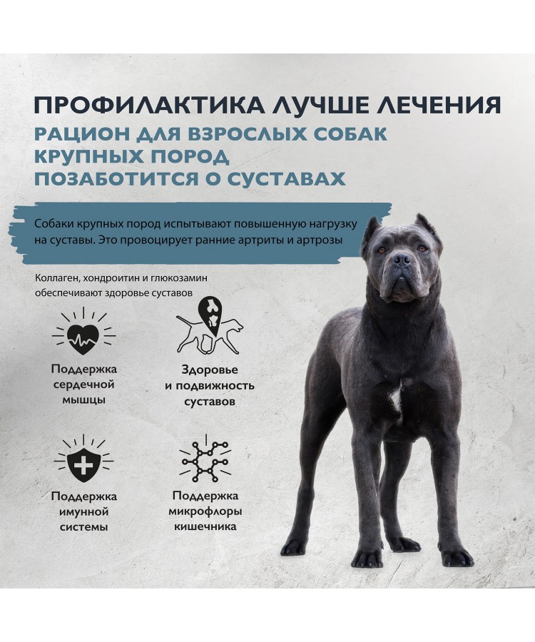 Brit Care Superpremium Dog Adult Large с индейкой и уткой для взрослых собак крупных пород, Поддержка суставов 3 кг