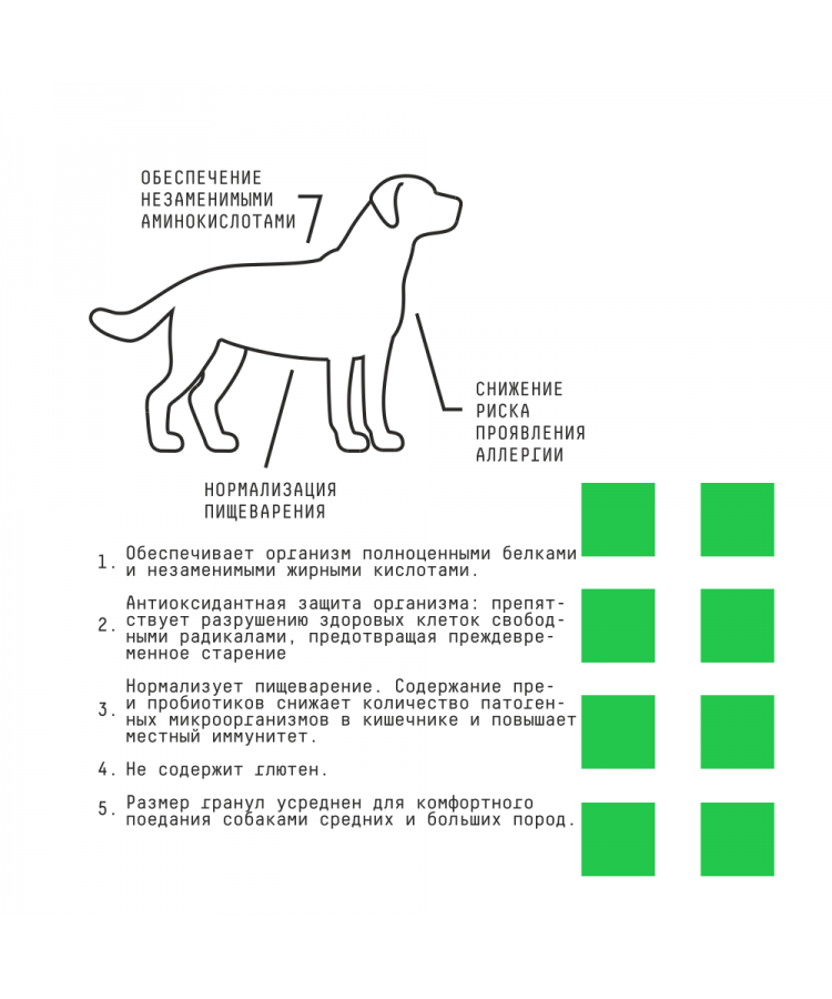 AJO Dog Hypoallerginic Сухой корм с гречкой для взрослых собак средних и крупных пород, склонных к аллергиям 2 кг