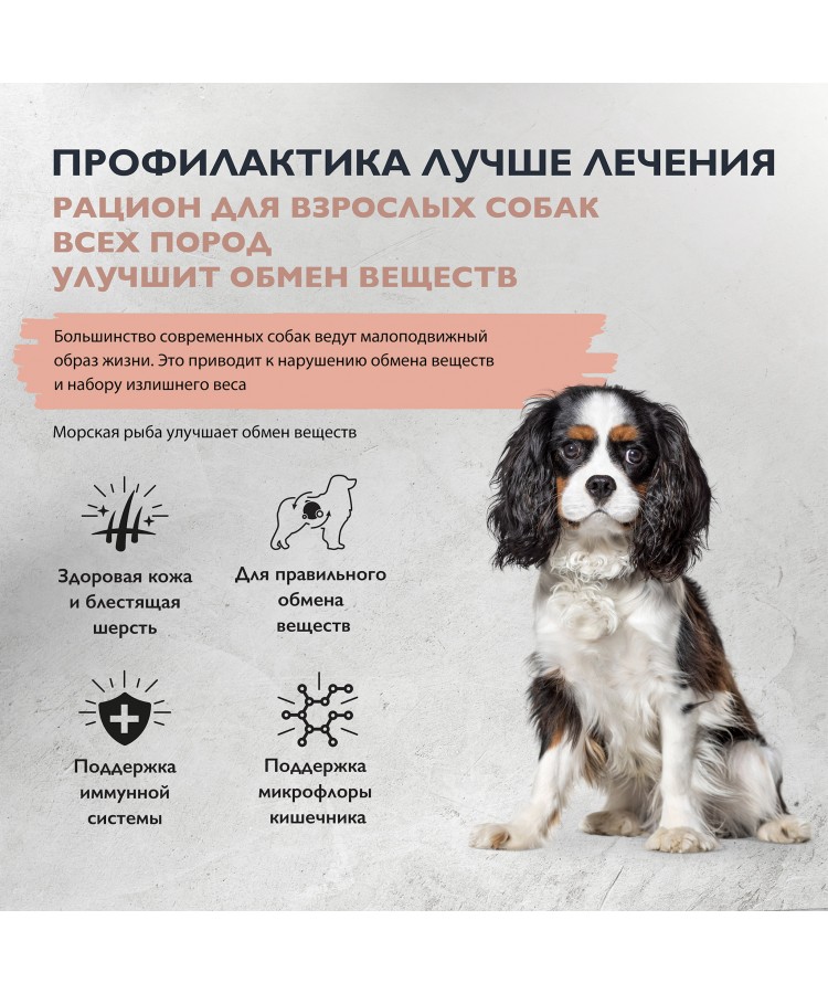 Brit Care Superpremium Dog Adult Sensitive с морской рыбой и индейкой для взрослых собак всех пород, Улучшенный обмен веществ. 1,5 кг