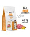 Brit Care Superpremium Dog Adult M с индейкой для взрослых собак средних пород, Здоровые зубы 1,5 кг