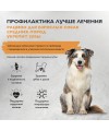 Brit Care Superpremium Dog Adult M с индейкой для взрослых собак средних пород, Здоровые зубы 1,5 кг