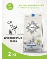 Ветеринарная диета CRAFTIA GALENA DOG RECOVERY & CONVALESCENCE CARE Рекавери энд Конвалесенс для собак поддержка в период восстановления и реабилитации 2 кг