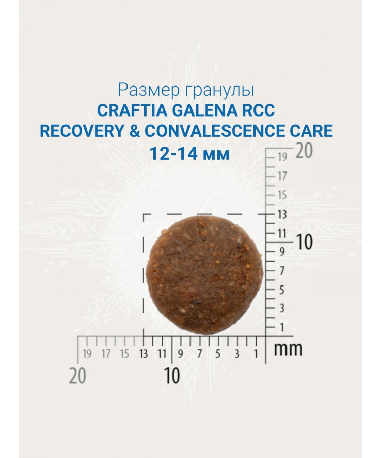 Ветеринарная диета CRAFTIA GALENA DOG RECOVERY & CONVALESCENCE CARE Рекавери энд Конвалесенс для собак поддержка в период восстановления и реабилитации 2 кг