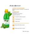 Шампунь Iv San Bernard Fruit of the Groomer Mint для любого типа шерсти с витамином В6 500 мл