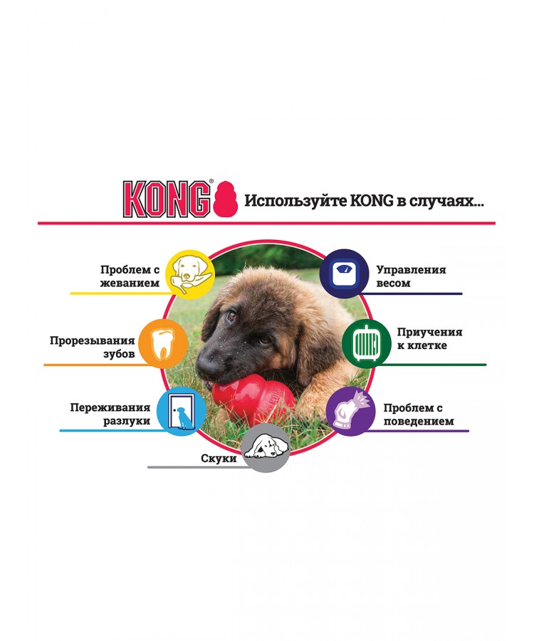 Игрушка для собак KONG CLASSIC L большая 10*6 см