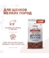 Сухой корм Monge Dog Speciality Line Monoprotein Mini корм для щенков и беременных собак мелких пород, из ягненка с рисом 2,5 кг