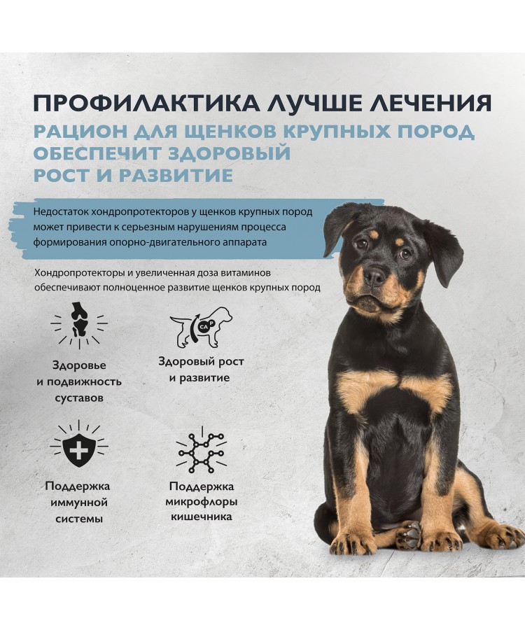 Brit Care Superpremium Dog Puppy&Junior L с индейкой и ягненком для щенков крупных пород, Здоровый рост и развитие 1,5 кг