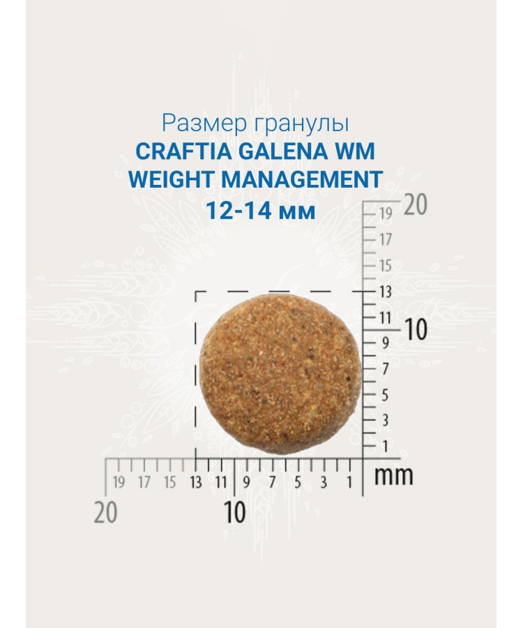 Ветеринарная диета CRAFTIA GALENA DOG WEIGHT MANAGEMENT (Obesity) Вейт Менеджмент (Обесити) для собак при избыточном весе 10 кг