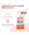 Сухой корм Monge Dog Speciality Line Monoprotein для взрослых собак всех пород, из лосося с рисом 12 кг