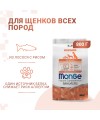 Сухой корм Monge Dog Speciality Line Puppy&Junior корм для щенков всех пород, из лосося с рисом 800 г