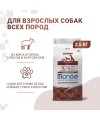 Сухой корм Monge Dog Speciality Line Monoprotein для взрослых собак всех пород, из ягненка с рисом и картофелем 2,5 кг